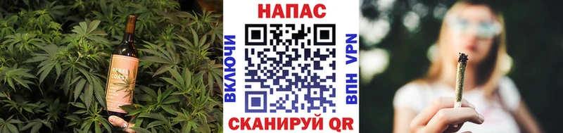 Cannafood марихуана  Болотное 