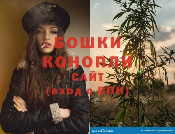 ПСИЛОЦИБИНОВЫЕ ГРИБЫ Семёнов