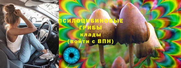 дурь Абдулино